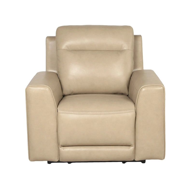 Fauteuil inclinable électrique en cuir pleine fleur Steve Silver Dayton
