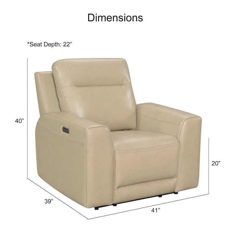 Fauteuil inclinable électrique en cuir pleine fleur Steve Silver Dayton